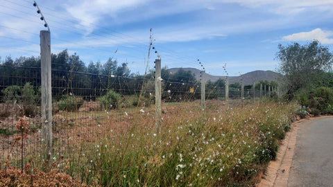 perimeter lighting on electric fencing