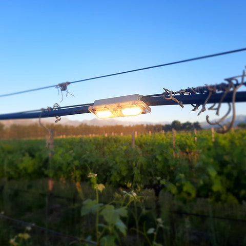 Perion Illumination Cable: Engineered for Reliable Outdoor Performance