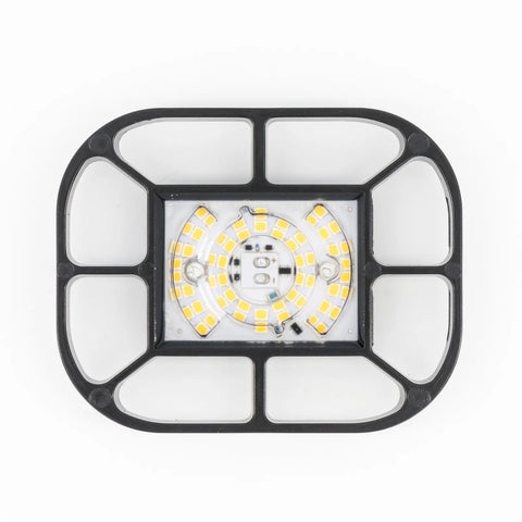 Perion 10W Light